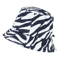 zebra blue white